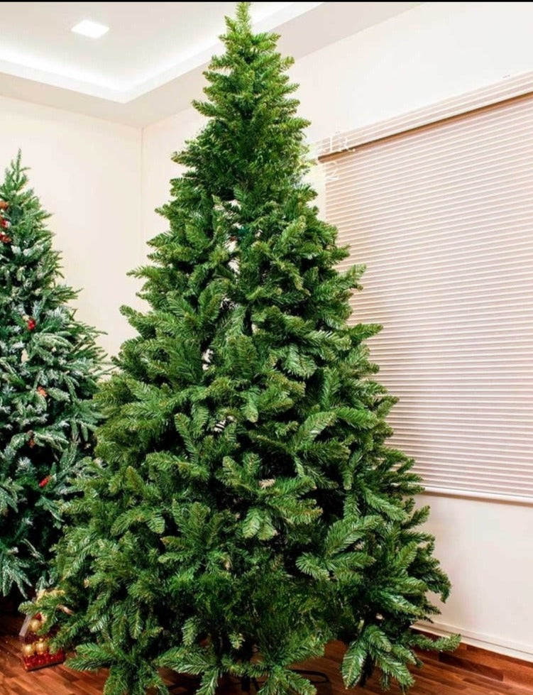 Evergreen Traditional Spruce Christmas Tree ( Luxury Edition )