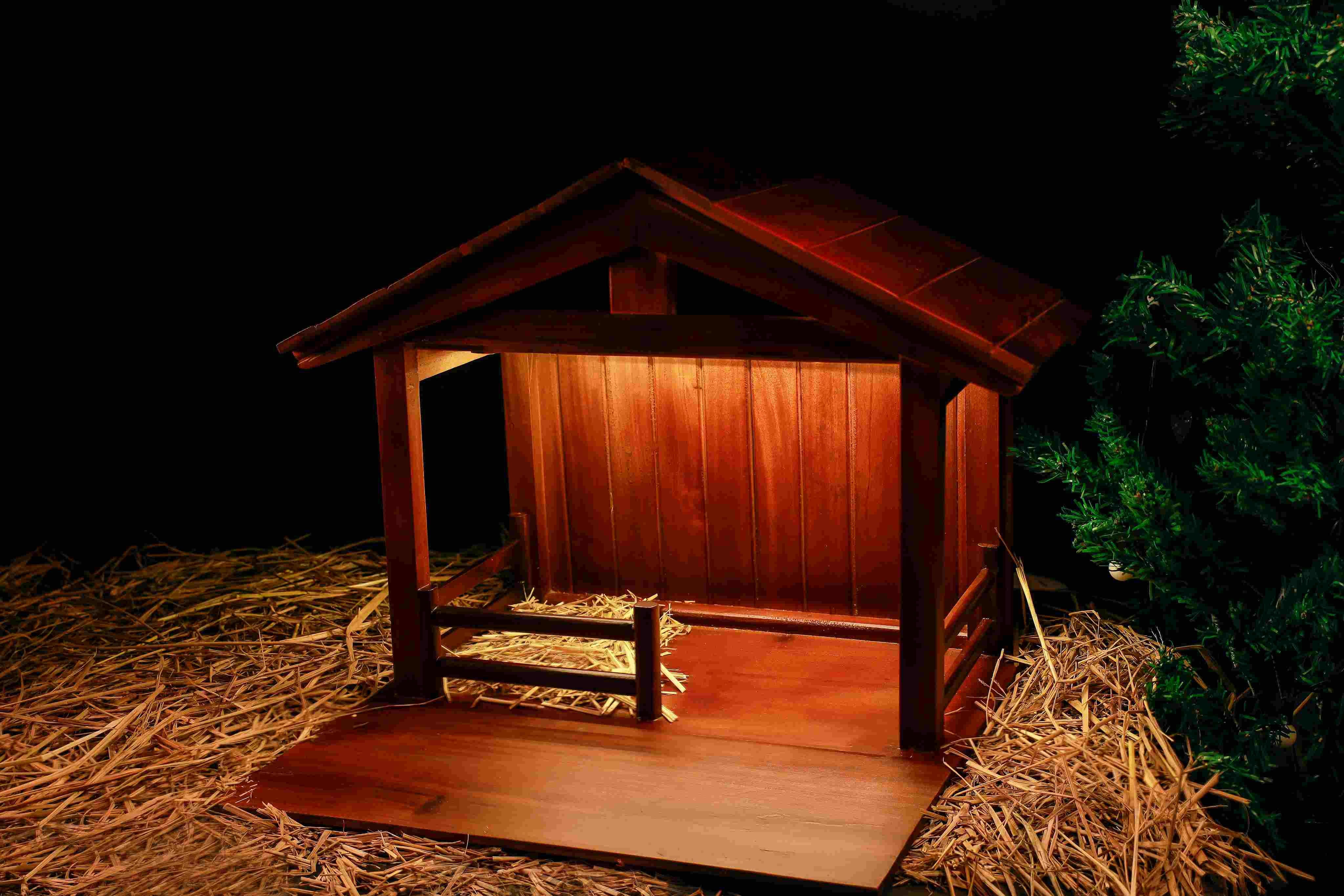 Living Words Premium Wooden Crib House